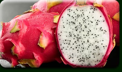 Pink Dragon Fruit Flower