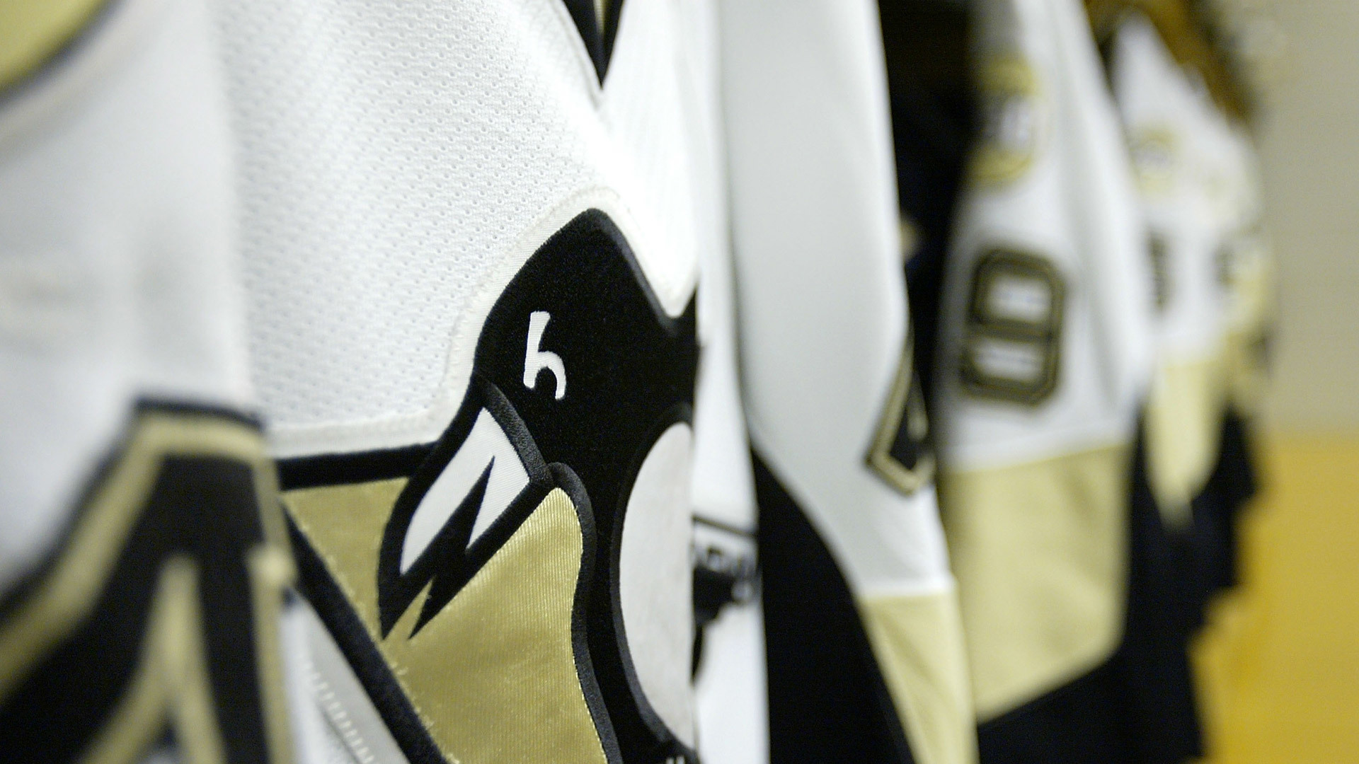 Pittsburgh Penguins Wallpaper Hd