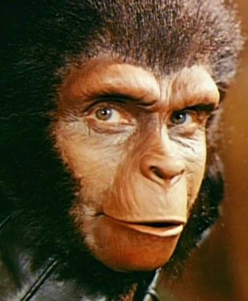 Planet Of The Apes 1968 Zira