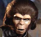 Planet Of The Apes 1968 Zira