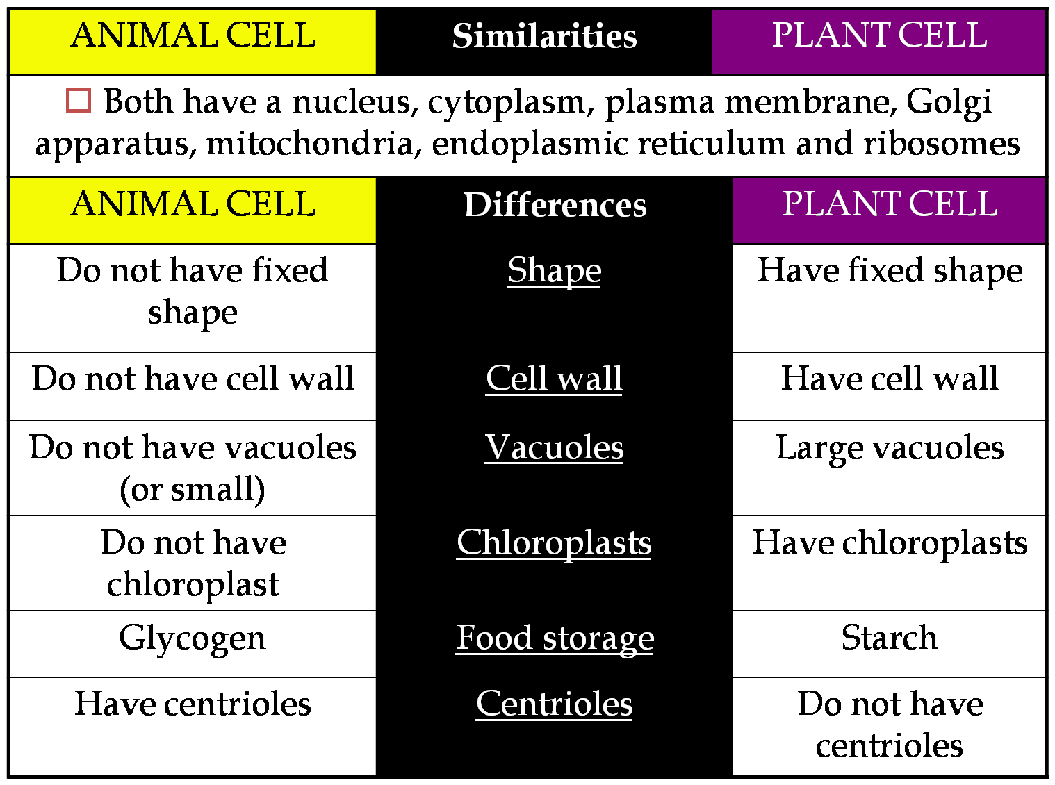 Plant Cell And Animal Cell