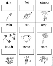 Plant Cell Diagram Worksheet For Kids