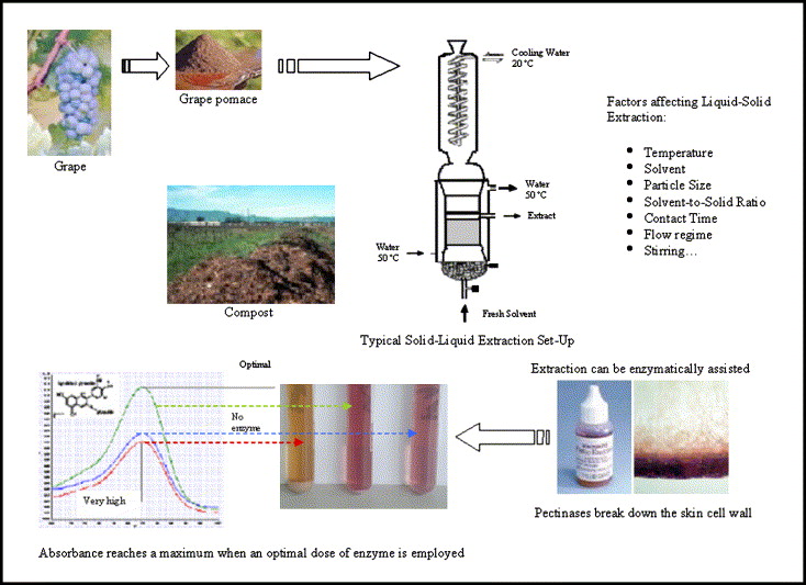 Plant Cell Wall Structure Pdf