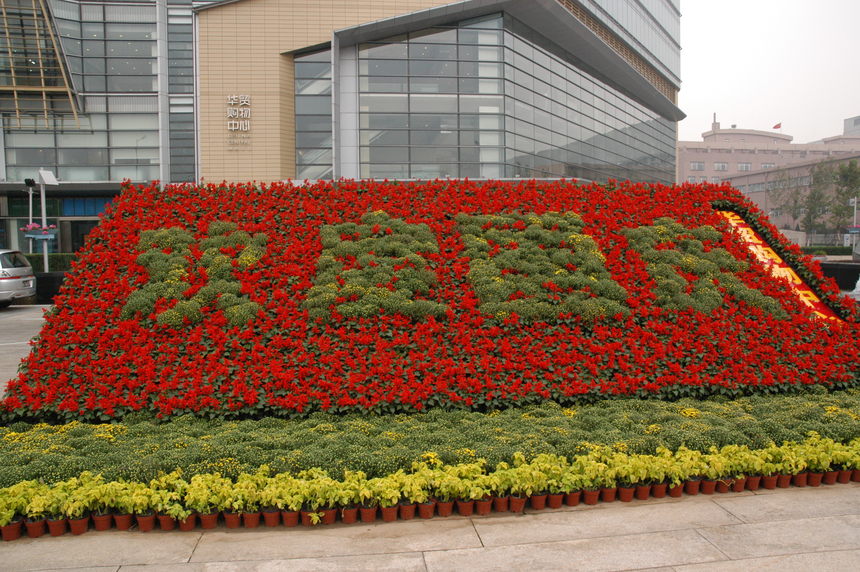 Plants And Flowers