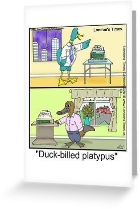 Platypus Cartoon Duck