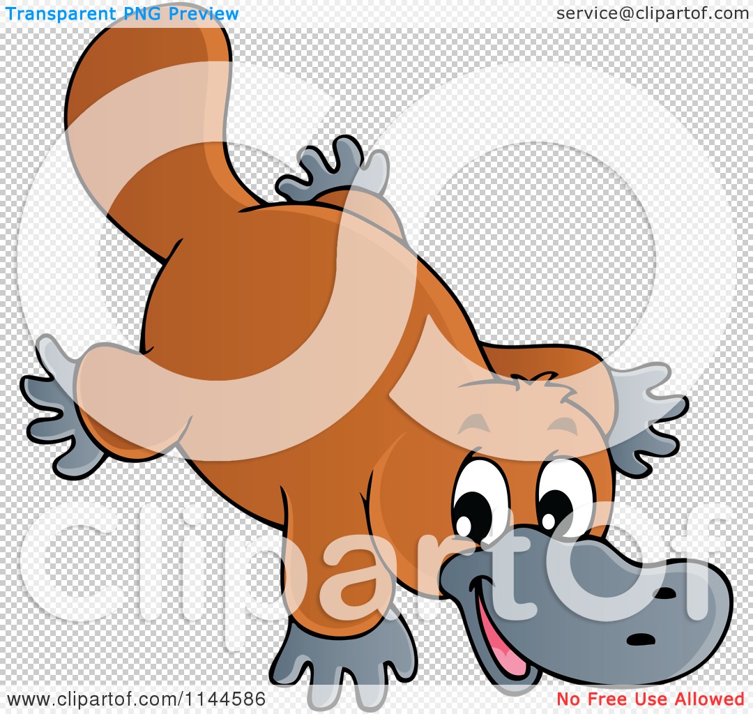 Platypus Cartoon Pictures