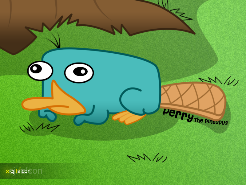 Platypus Cartoon Pictures