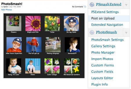 Plugins For Wordpress Gallery