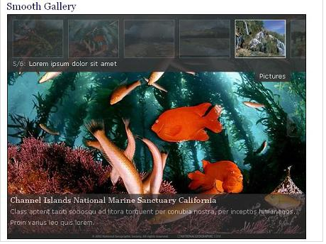 Plugins For Wordpress Gallery