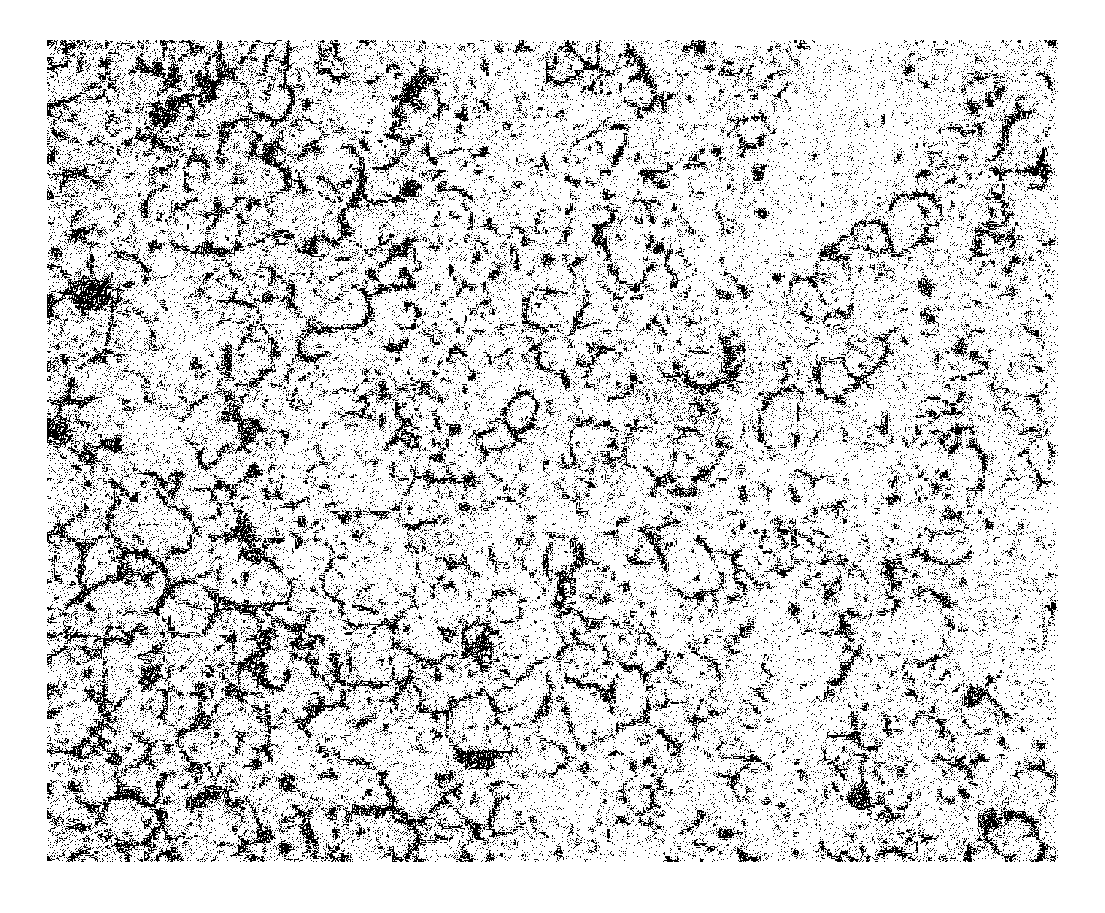 Plutonium Atom Totality