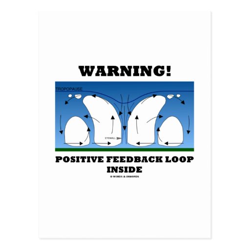 Positive Feedback Loop Biology