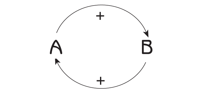 Positive Feedback Loop Biology Example