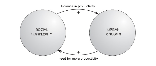 Positive Feedback Loop Biology Example