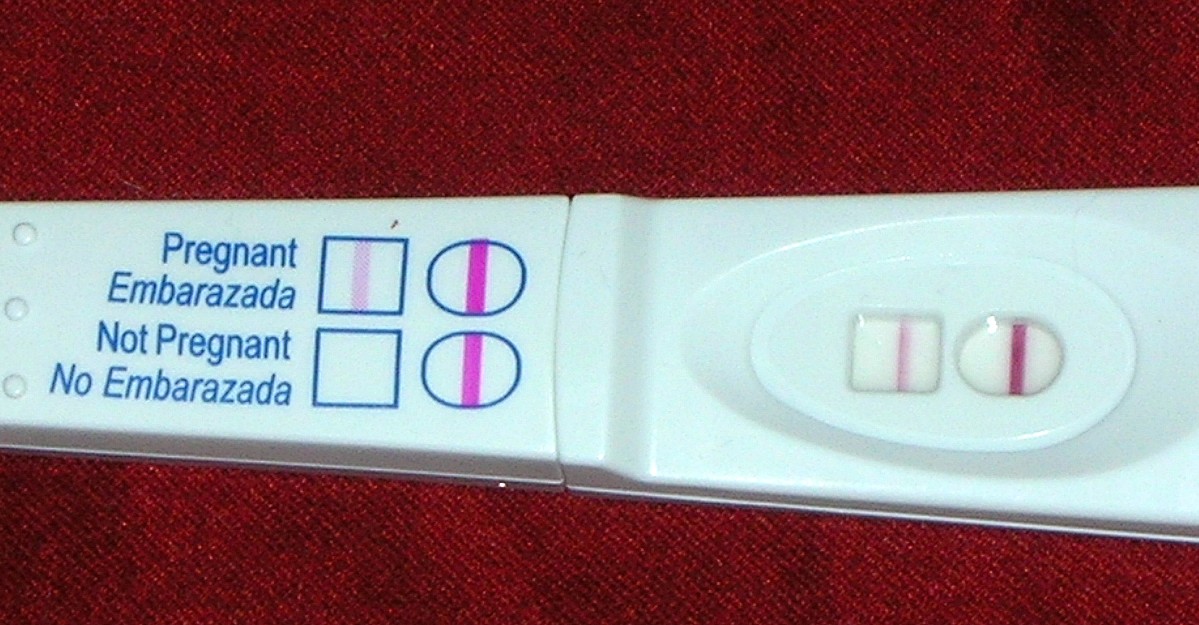 Positive Pregnancy Test Results Pictures