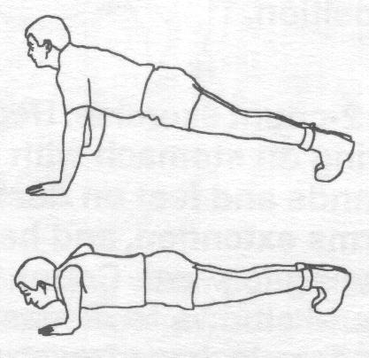 Press Ups Diagram