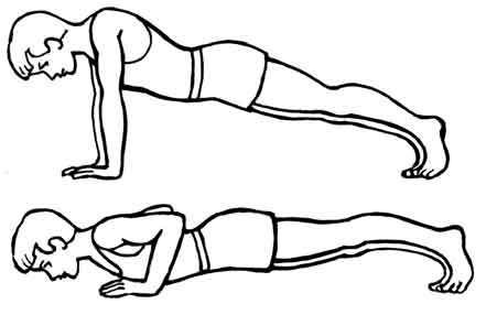 Press Ups Diagram