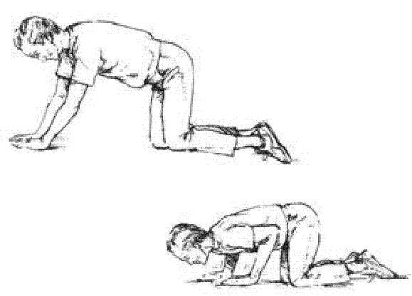 Press Ups On Knees