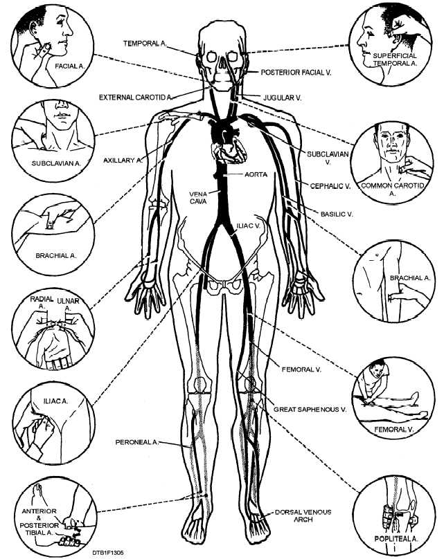 Pressure Points In Hand