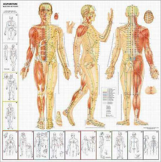 Pressure Points In Hand Chart