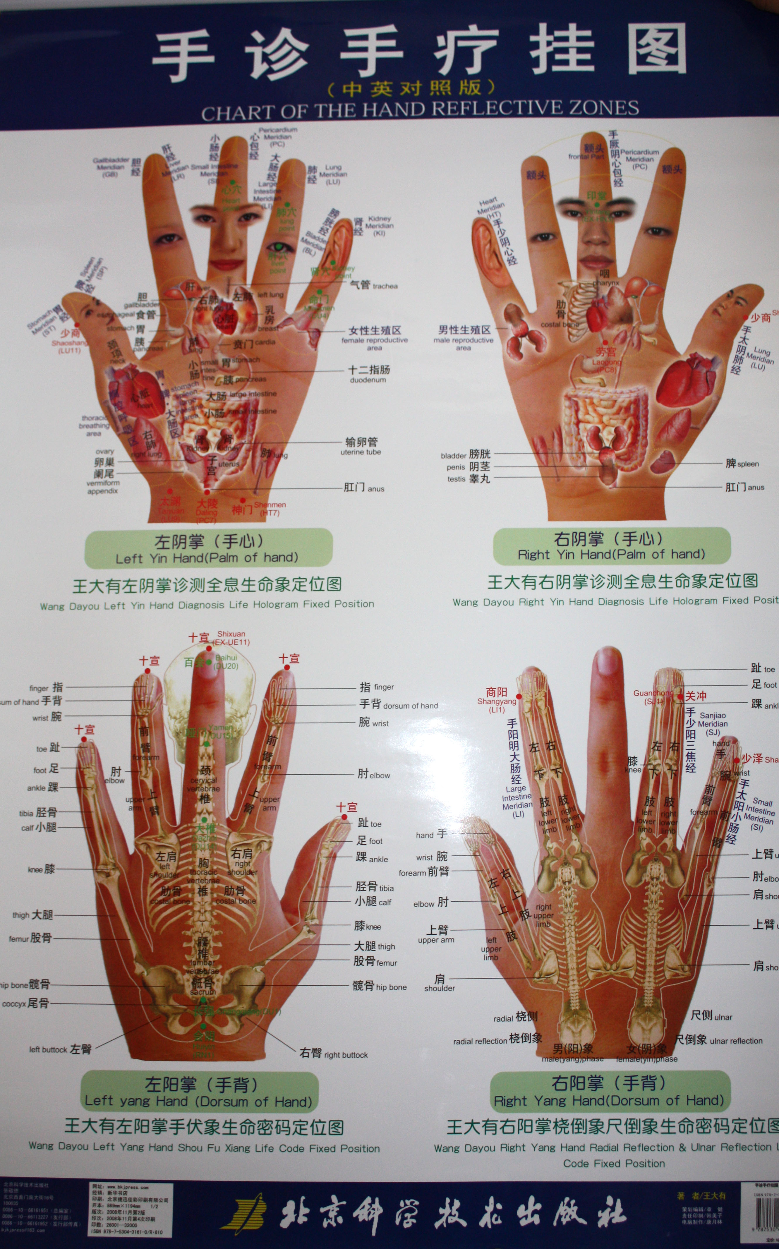 Pressure Points In Hands And Feet