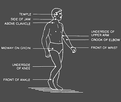 Pressure Points In Hands And Feet