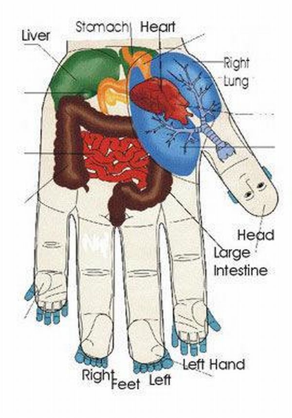 Pressure Points In Human Body