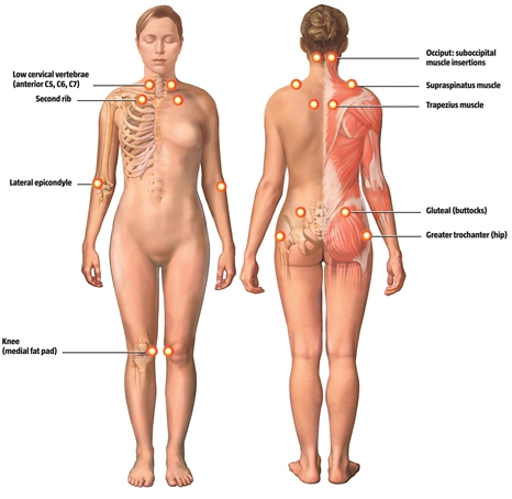 Pressure Points In Human Body