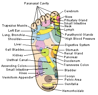 Pressure Points On Feet Chart