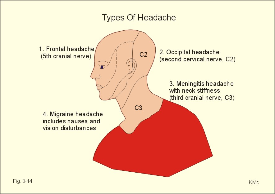 Pressure Points On Head For Headaches