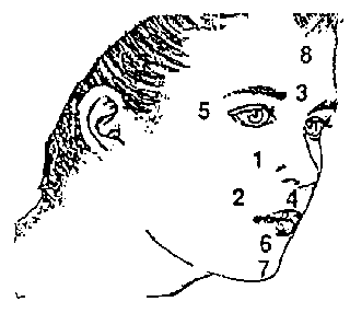 Pressure Points On Head For Sinus Relief