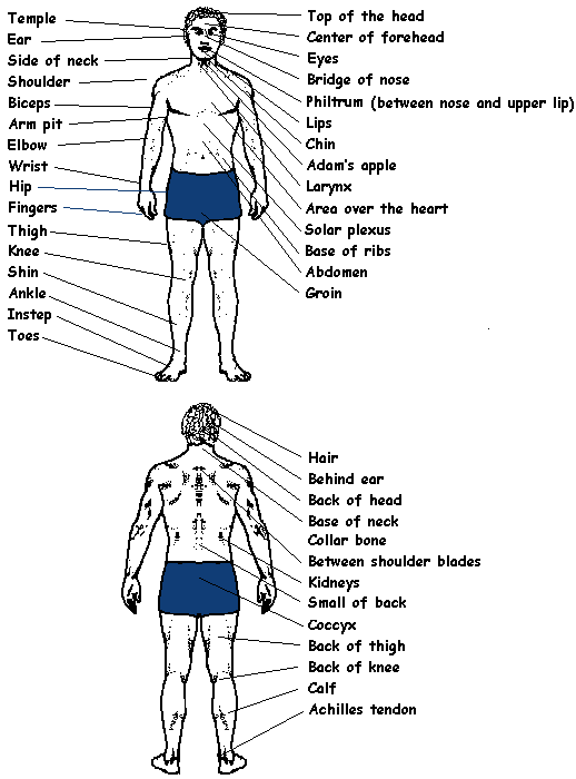 Pressure Points On The Body