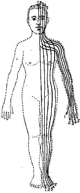 Pressure Points On The Body Map