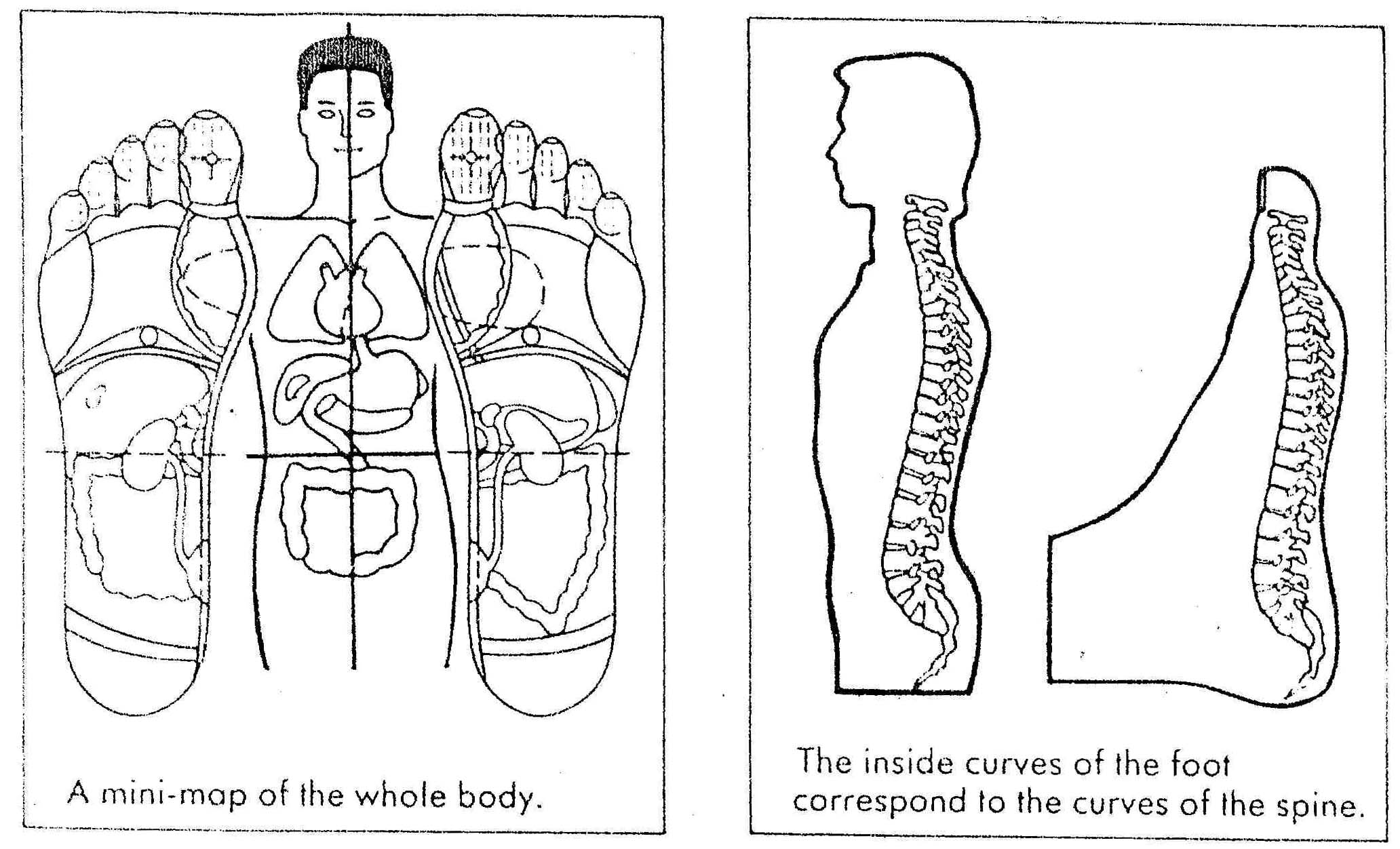 Pressure Points On The Body Map