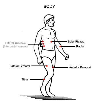 Pressure Points Self Defense Chart