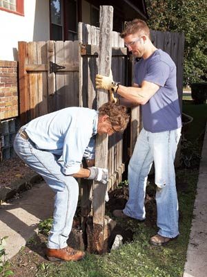 Privacy Fence Gate Ideas