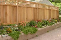 Privacy Fence Ideas Patio