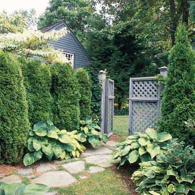 Privacy Screen Ideas For Backyard