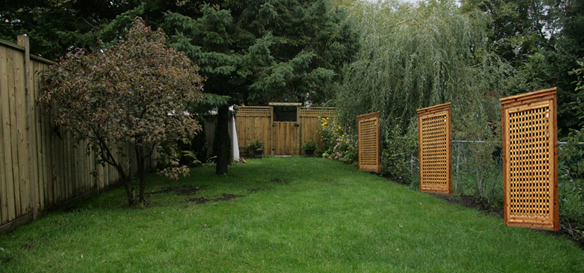 Privacy Screen Ideas For Backyard