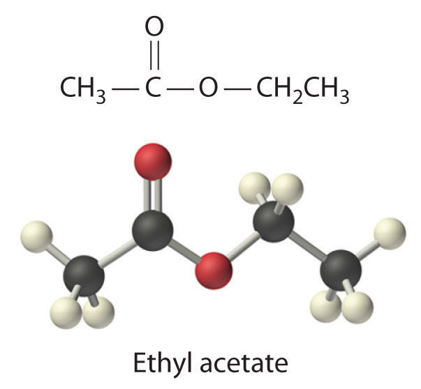 Products And Reactants Equation