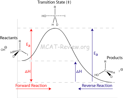 Products And Reactants In A Chemical Equation