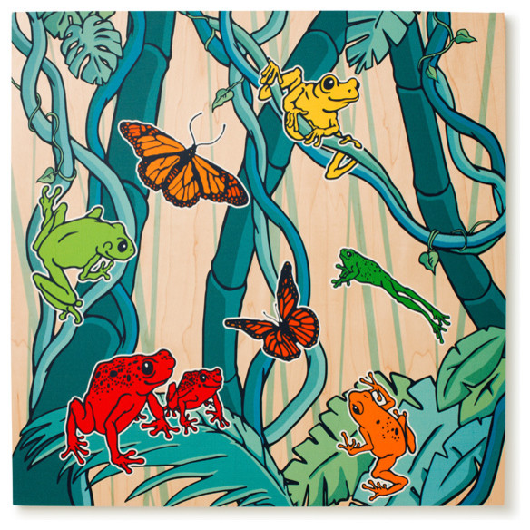 Products From The Rainforest For Kids