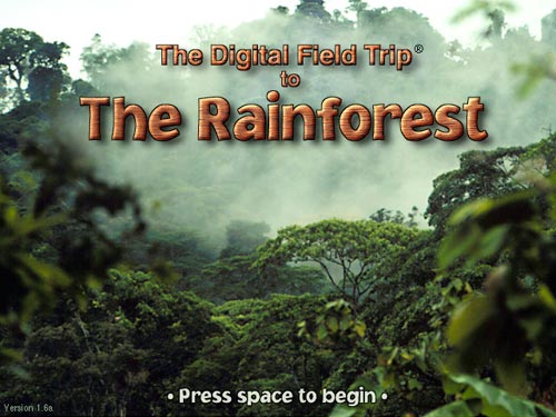 Products From The Rainforest For Kids