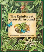 Products From The Rainforest Worksheet