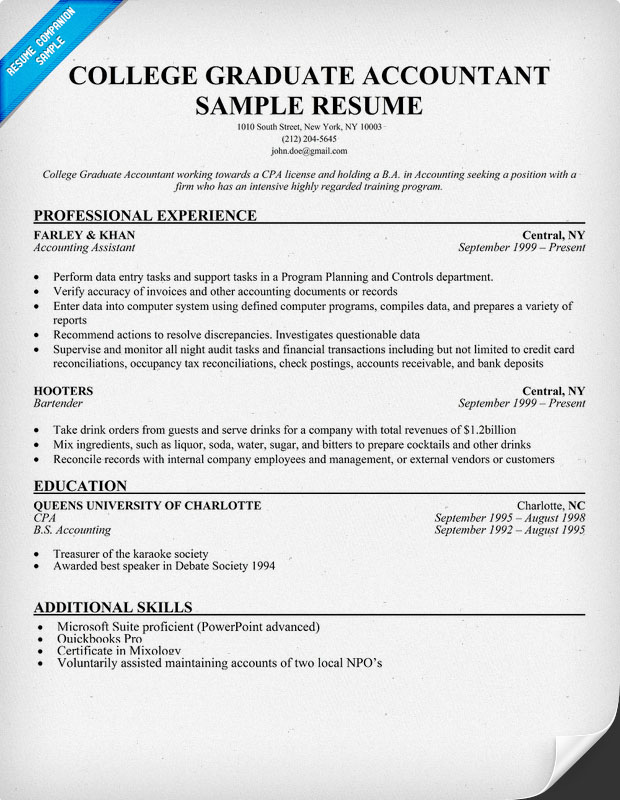 Professional Accountant Cv Format