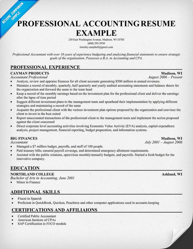 Professional Accountant Cv Format