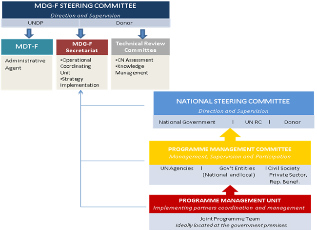 Programme Governance Structure