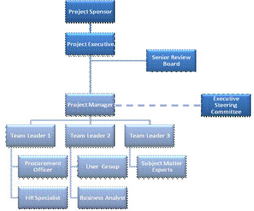 Programme Governance Structure