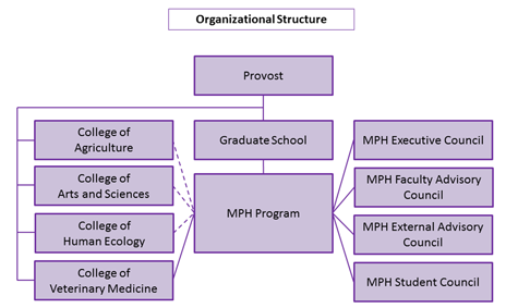 Programme Governance Structure