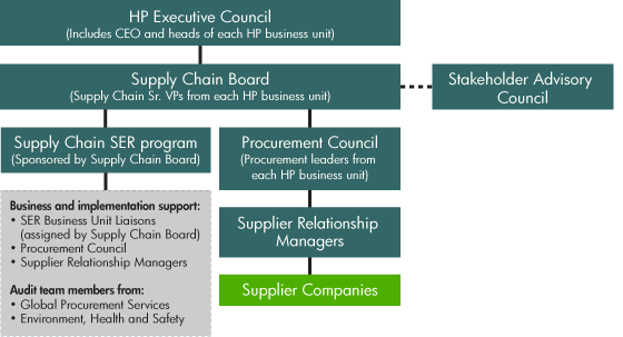 Programme Governance Structure