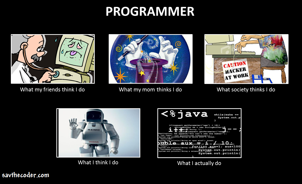 Programming Meme